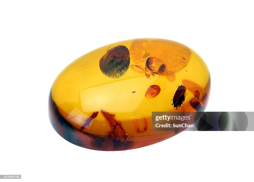 Baltic Amber Cabochon
