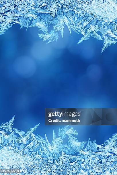 ice フラワーフレームガラス - frosted glass ストックフォトと画像