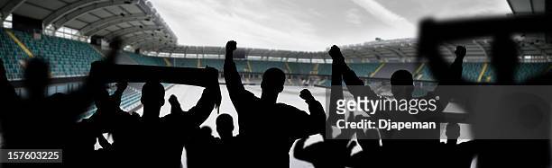 football fans - silhouette sports crowd stock pictures, royalty-free photos & images