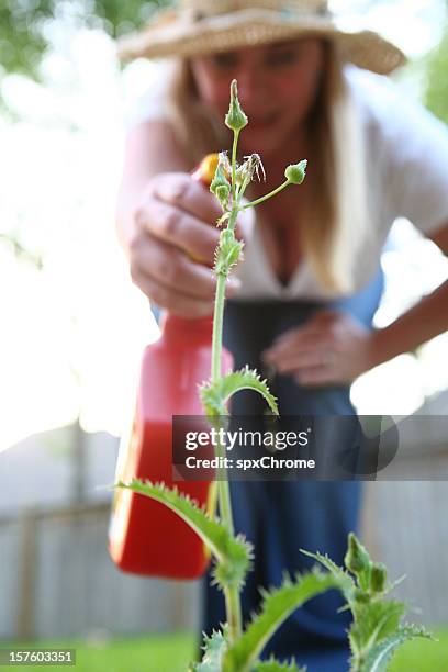 weed killer - onkruidverdelger stockfoto's en -beelden