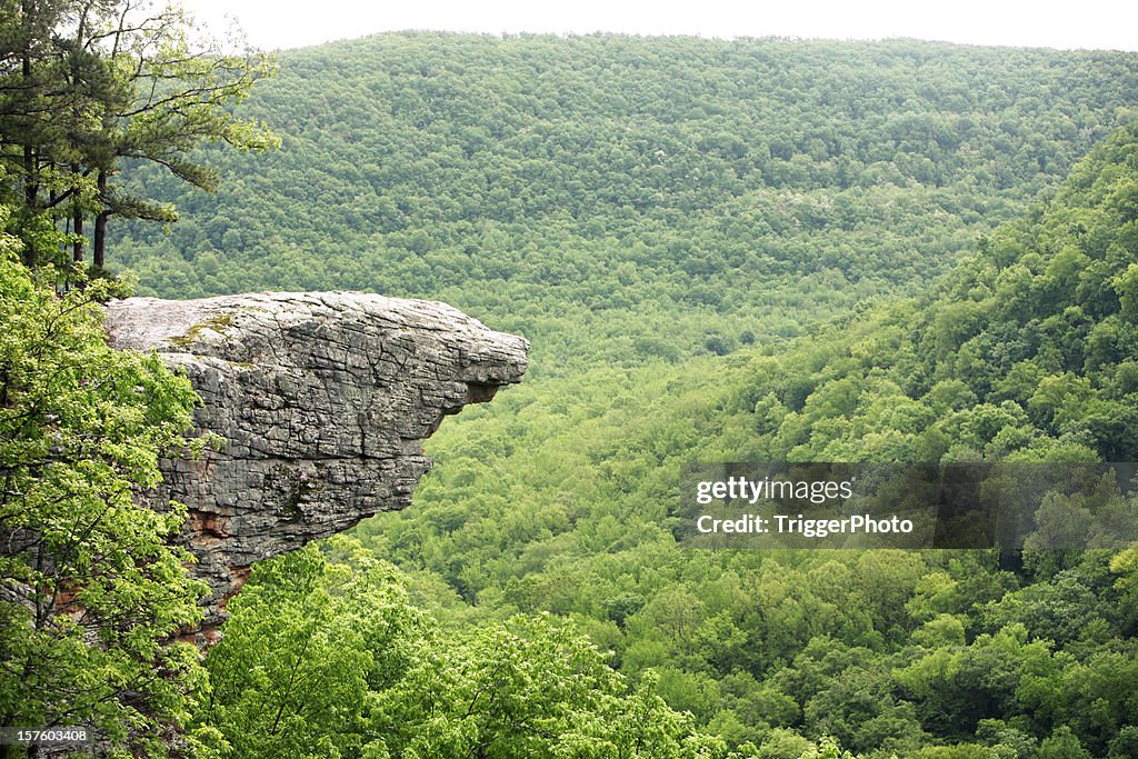 A forest in Arkansas centered on rocky cliff