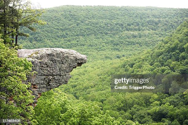 a forest in arkansas centered on rocky cliff - fayetteville arkansas stockfoto's en -beelden