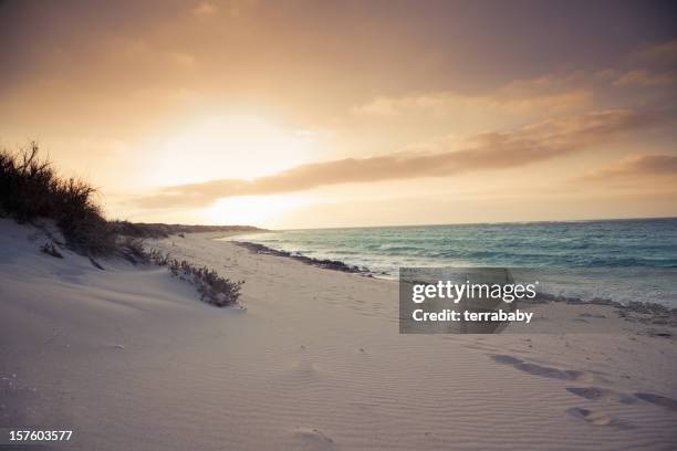 beach sunset australia - beach sunset stockfoto's en -beelden