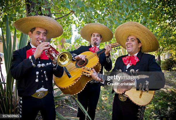 mariachi band - cantare una serenata foto e immagini stock