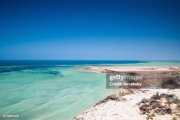 australia shark bay, sitio declarado patrimonio de la humanidad - bahía shark fotografías e imágenes de stock