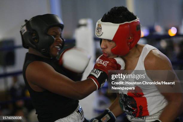 Lion Hearted Photos and Premium High Res Pictures - Getty Images