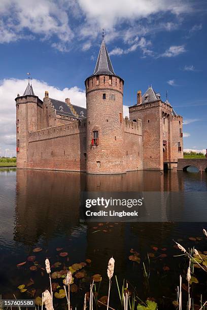 castle muiderslot - moat 個照片及圖片檔