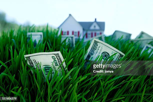 geld wächst auf gras - property prices continue to increase stock-fotos und bilder