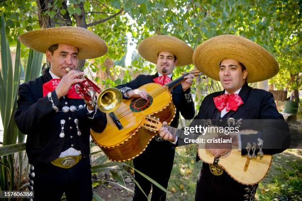 romantic mariachi band - een serenaden brengen stockfoto's en -beelden