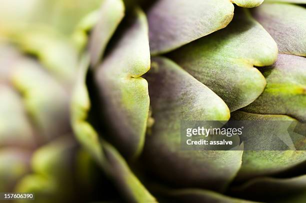 artichoke - makro stock pictures, royalty-free photos & images