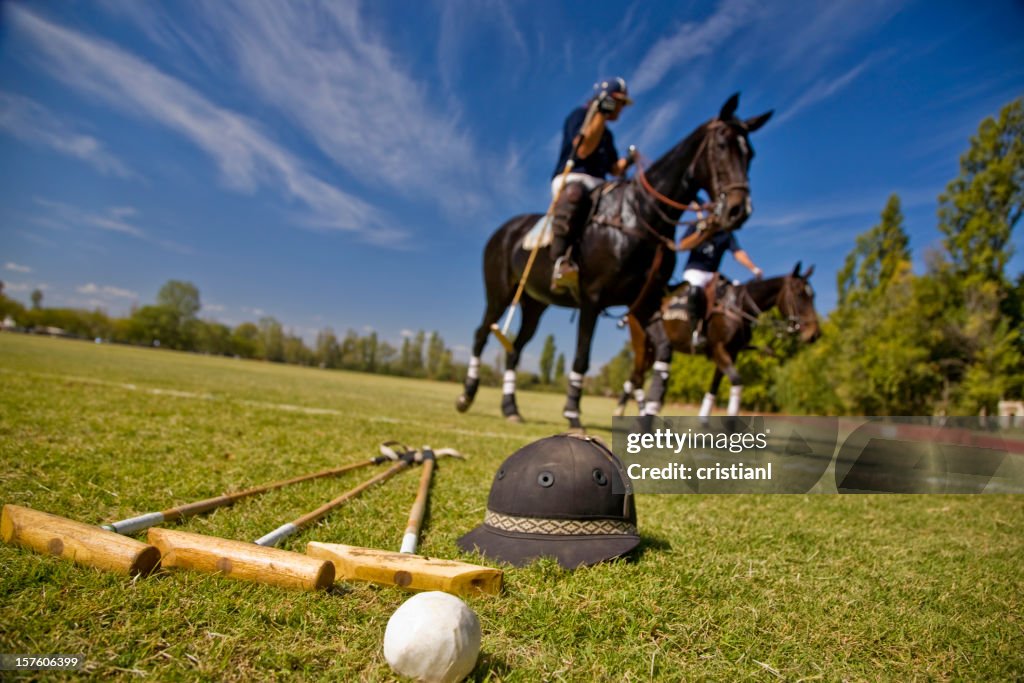 Polo Horses