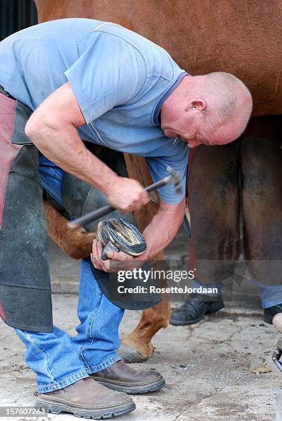 farrier - farrier stock pictures, royalty-free photos & images