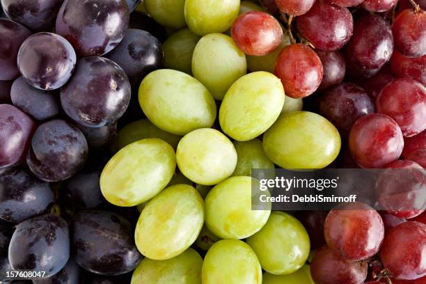 três tipos de uvas - uva imagens e fotografias de stock