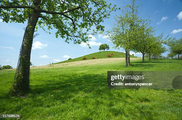 burrow hill, somerset - piana del somerset foto e immagini stock