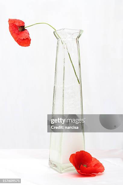 still life with poppies - poppies in vase stock pictures, royalty-free photos & images