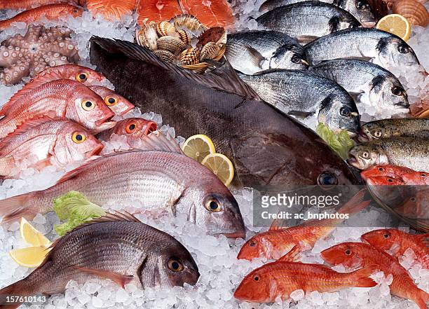 fresh fish - raw fish stockfoto's en -beelden