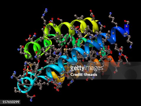 29,399 Protein Structure Photos and Premium High Res Pictures - Getty Images