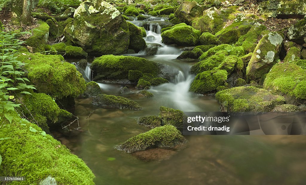 Mountain Rocks Strream Mountain Stream With Mosscovered Rocks Motionblurred Panorama High-Res ...