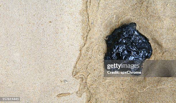 tarball - tar beach stock pictures, royalty-free photos & images