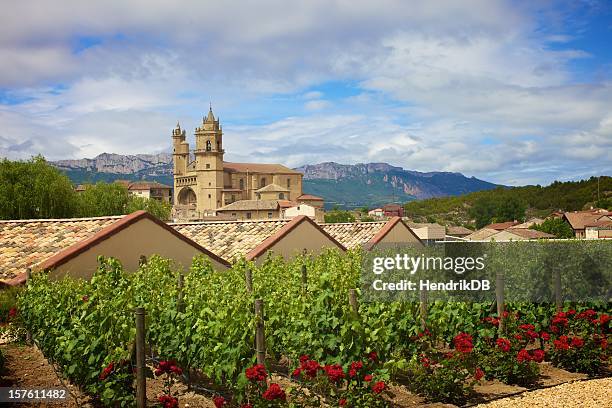 rioja winery - baskenland spanje stockfoto's en -beelden