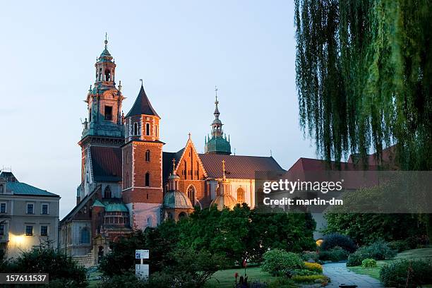 wawel cathedral - wawel castle stock pictures, royalty-free photos & images