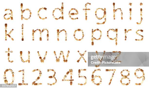 nuts alphabet (lc) and digits - b m stock pictures, royalty-free photos & images