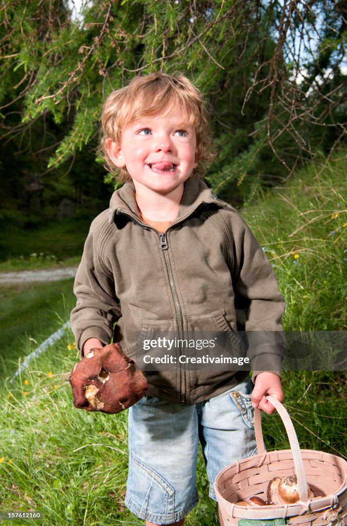 Porcini Mushroom picking