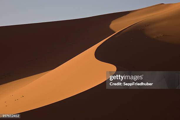 sand dune between light and shadow in the sahara - mandara lakes stock pictures, royalty-free photos & images