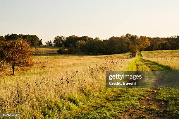 footpath in autumn field - late afternoon light - pennsylvania landscape stock pictures, royalty-free photos & images