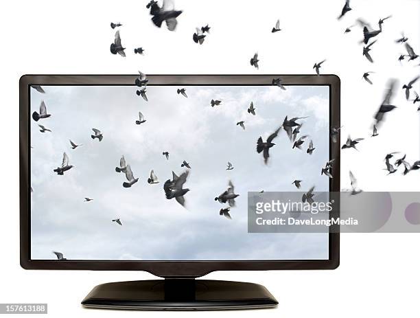 tv in 3d - 3d bird stockfoto's en -beelden