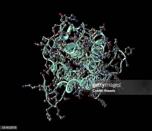 modell des menschlichen wachstum hormon - enzym stock-fotos und bilder