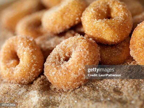 cannella e zucchero mini donuts - bombolone foto e immagini stock