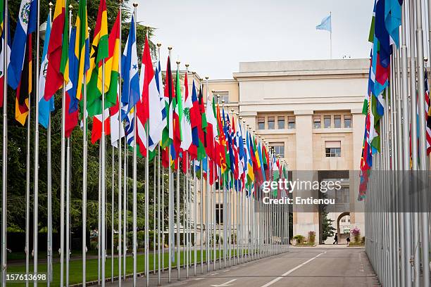united nations building - united nations building flags stock pictures, royalty-free photos & images