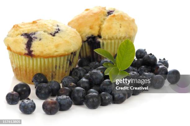blueberry muffins - blueberry muffin stock pictures, royalty-free photos & images
