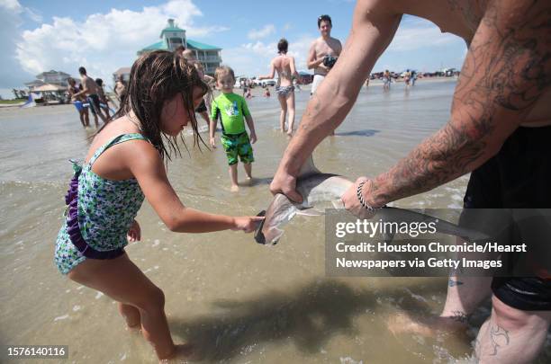 Thomas Jennings holds hammer head shark as Brenna Peters touches the small shark in the Westend on Saturday, Aug. 7 in Galveston. Jennings was...