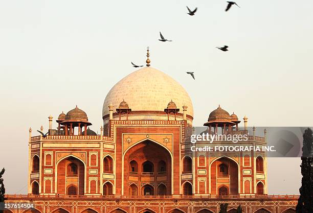 humayun's tomb - tomb stock pictures, royalty-free photos & images