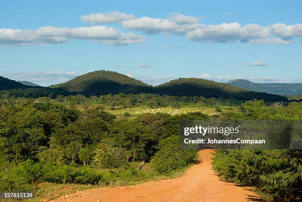 bonito, mato grosso do sul, brasilien - bonito brasil stock-fotos und bilder