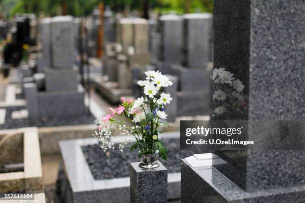 magical cemetery - grave stockfoto's en -beelden