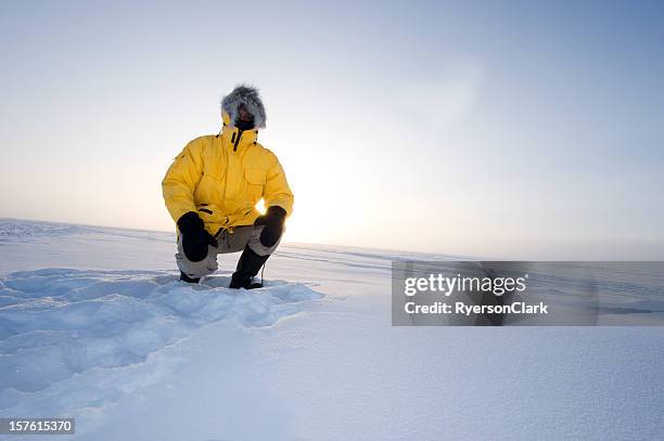 arctic fog.  man in a parka on the snow - parka stock pictures, royalty-free photos & images