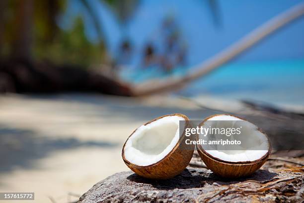 fresh coconut halves on beach - coconut palm tree stock pictures, royalty-free photos & images
