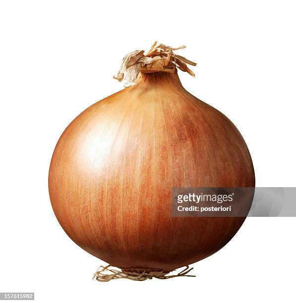 fresh onion - ui stockfoto's en -beelden