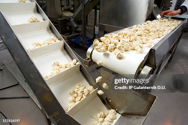 production line in a food factory. ravioli preparation. - tortellini stock pictures, royalty-free photos & images