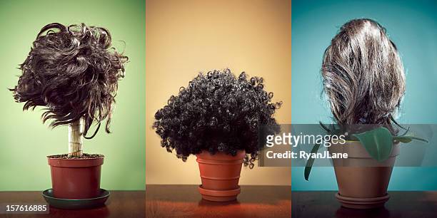 10,802 Hair Growth Photos and Premium High Res Pictures - Getty Images
