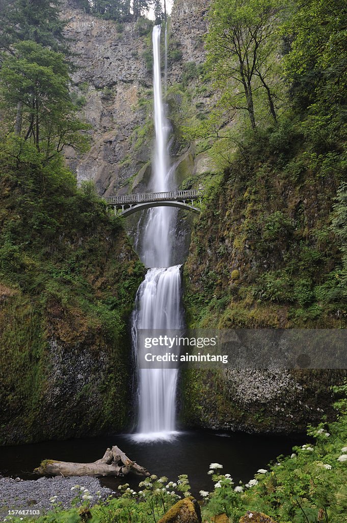 Multnomah Falls