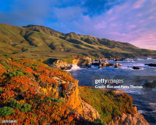 costa del big sur in california - california centrale foto e immagini stock
