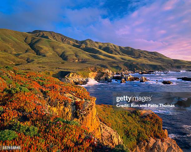 big sur coast of california - big sur 個照片及圖片檔