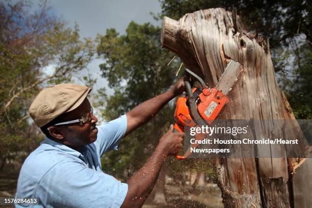 Earl Jones, wood sculptor, carefully selects what to carve off the tree as he begins a tree sculpture at the historic African American College Park...