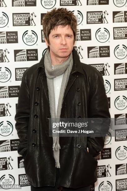 Noel Gallagher attends the press conference to announce the line up for Teenage Cancer Trust 2013 at Royal Albert Hall on December 5, 2012 in London,...