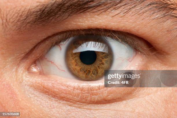 eye macro (xxxl) - menselijke ader stockfoto's en -beelden