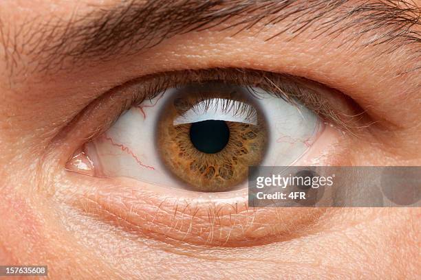 olhos (xxxl macro - veia humana - fotografias e filmes do acervo